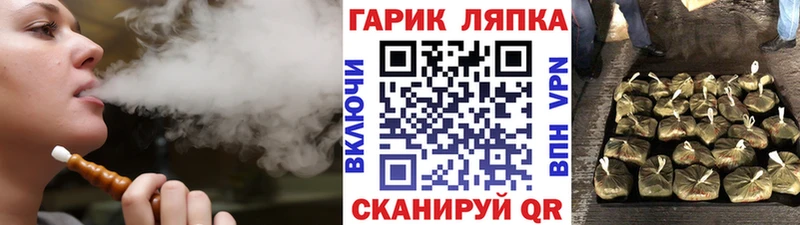 дарнет шоп  Выборг  MEGA вход  ГАШ Premium 