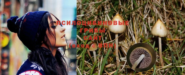 МДМА Богородицк