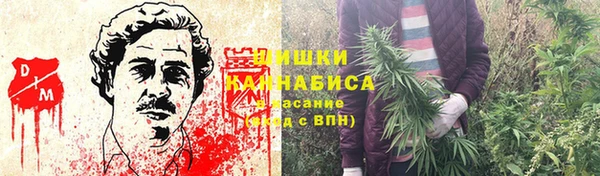 эйфоретик Богданович