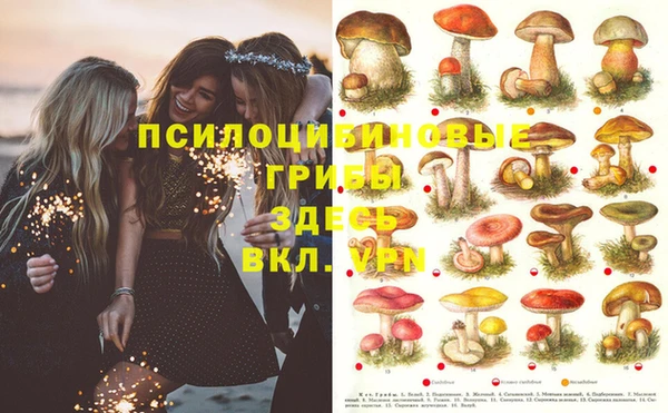 МДМА Богородицк