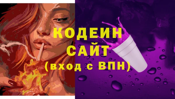 эйфоретик Богданович