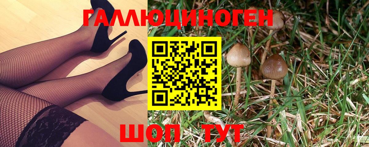 Выборг  Галлюциногенные грибы Magic Shrooms  Вход с VPN 